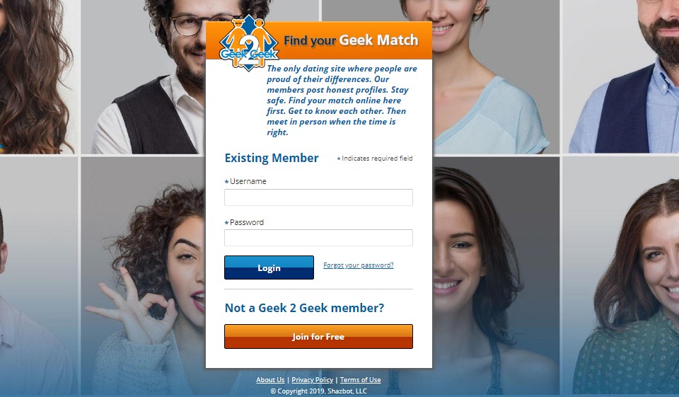 Geek2Geek RECENSIONE 2023: miglior sito web per incontrare i singoli locali