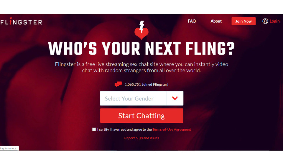Flingster Overzicht 2022: Is het een waardige datingsite?
